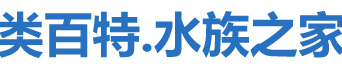 鱼缸观赏鱼鱼药